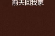 回我的家在线观看,穿越时空的温馨归途