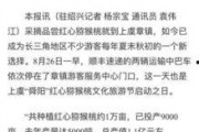 杭州日报热点爆料新闻视频,热点爆料新闻视频背后的真相