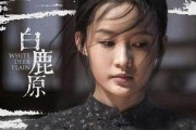 白鹿原电视剧在线观看完整版,穿越历史的长河，探寻家族兴衰的传奇